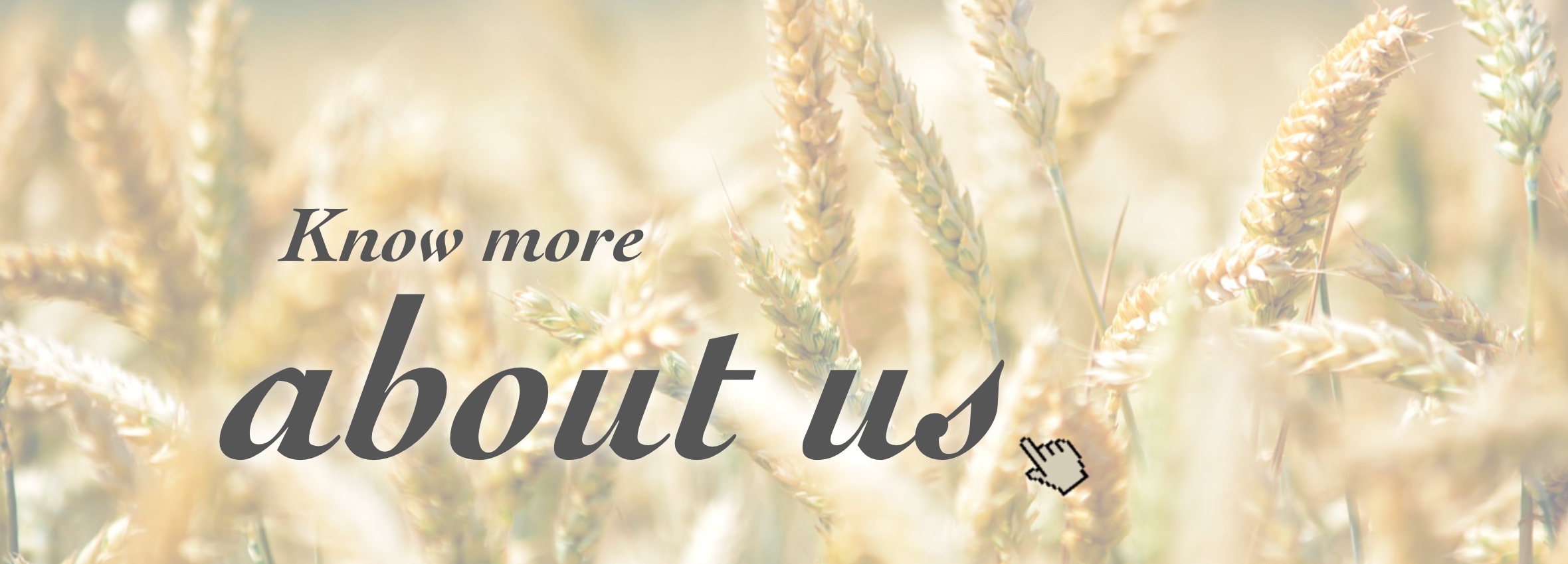 about us